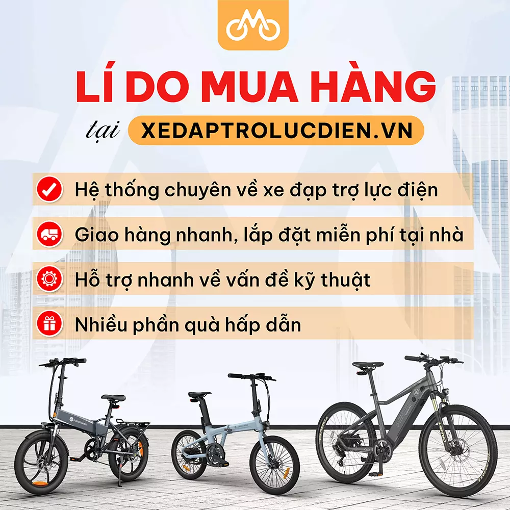 xe đạp trợ lực điện