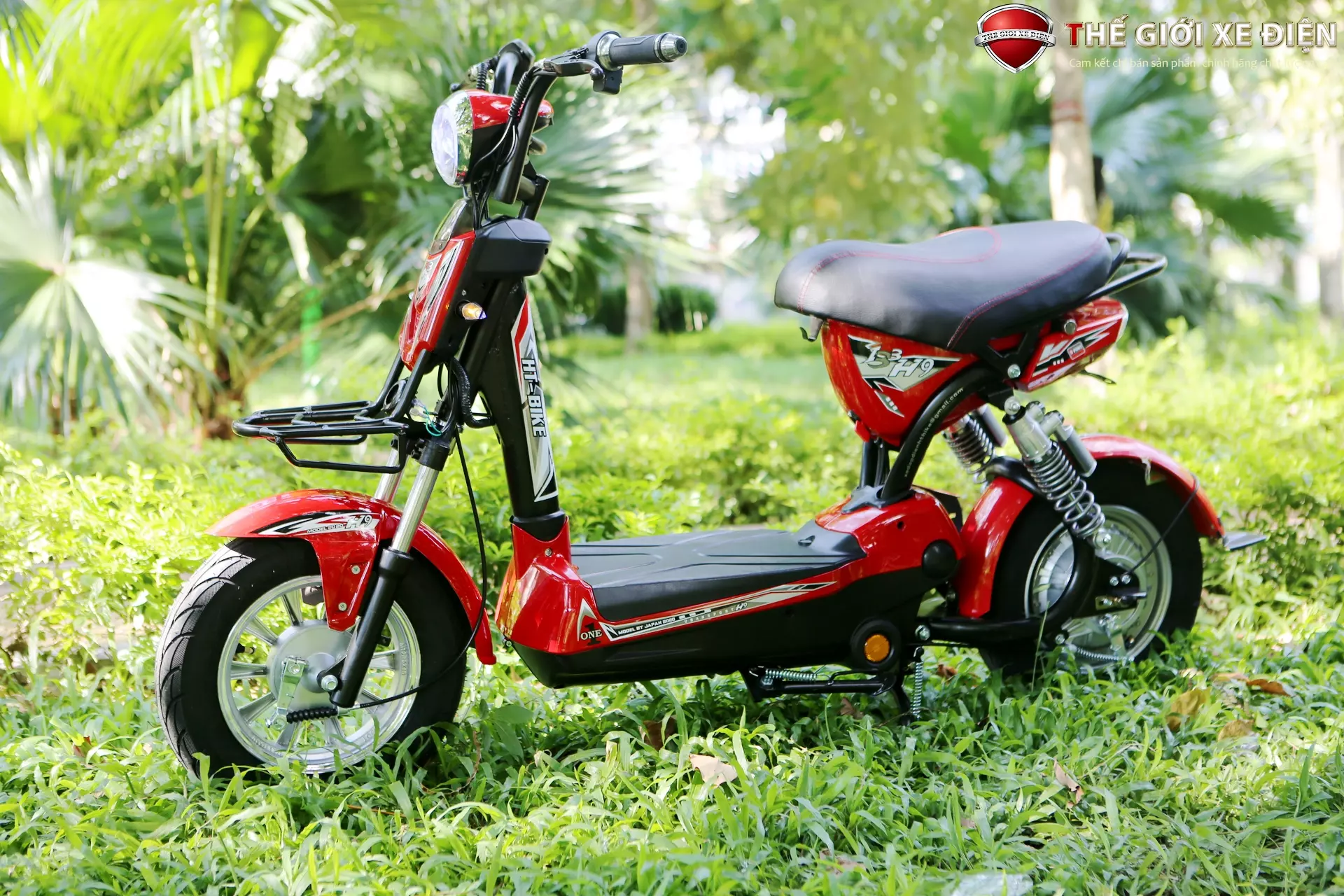 Xe đạp điện HT Bike H9