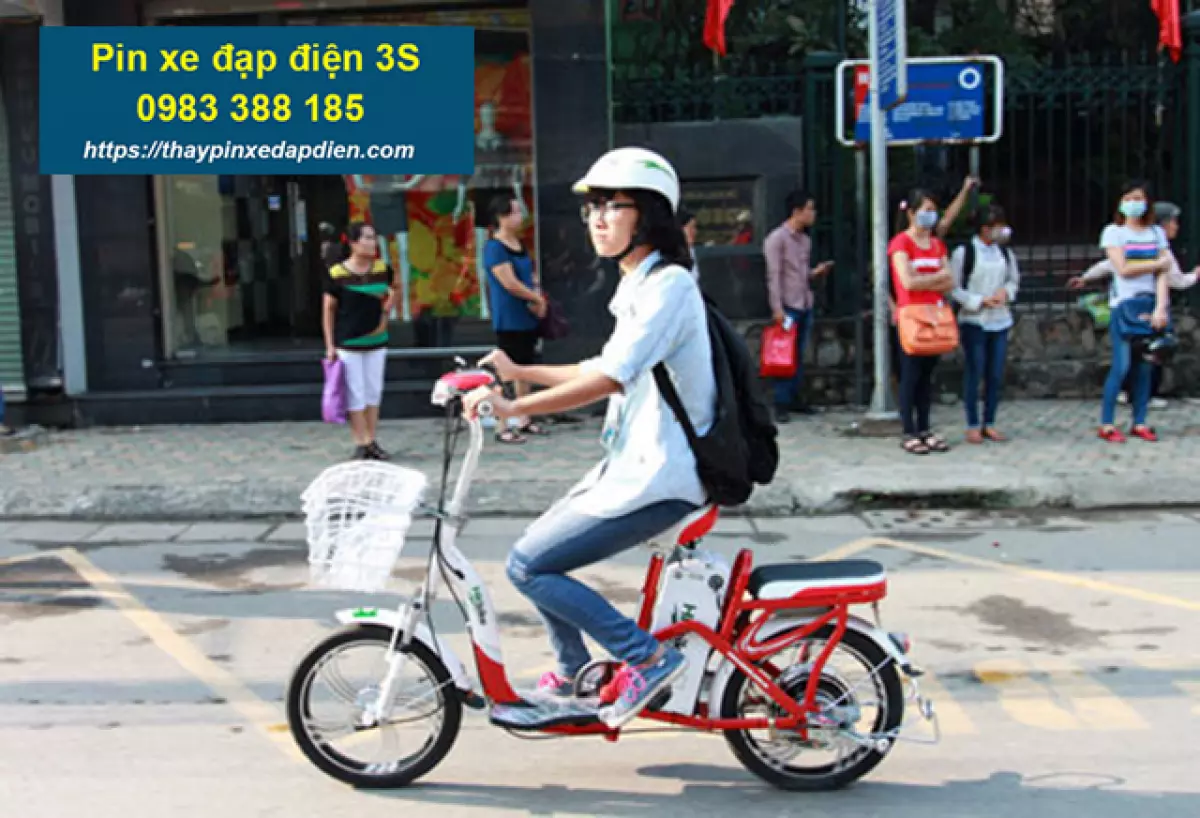 Pin xe đạp điện