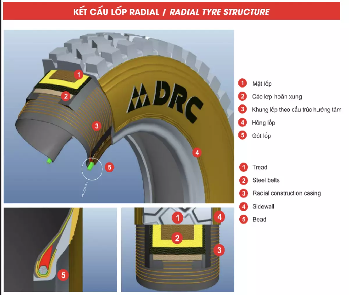 Lốp Radial