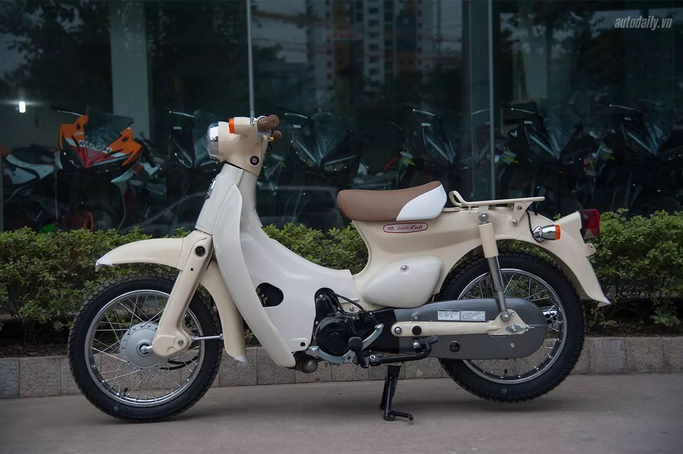 Honda Little Cub