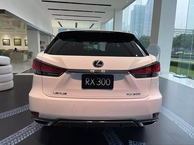 Lexus RX 300 F Sport