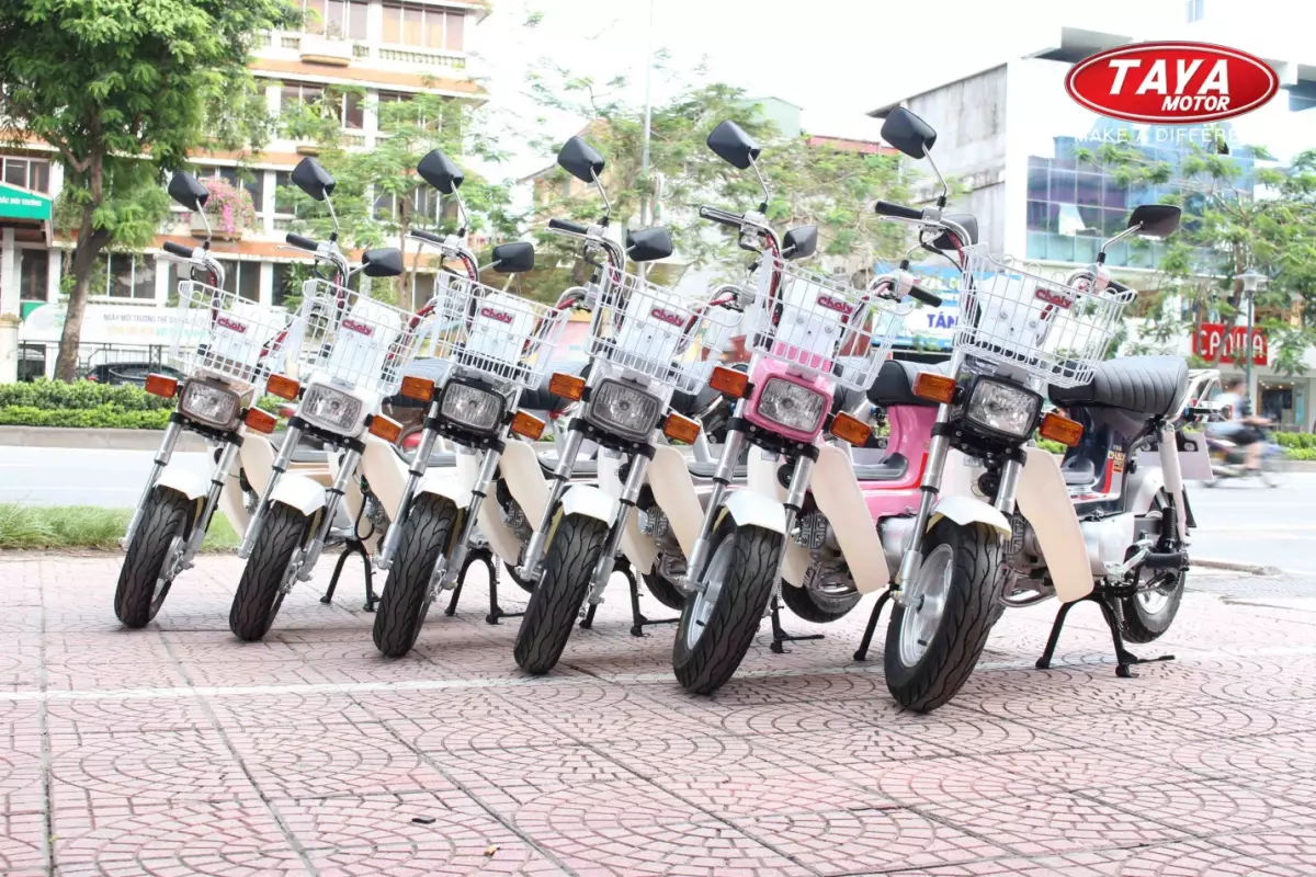 Xe máy 50cc Chaly Taya (xanh cốm)