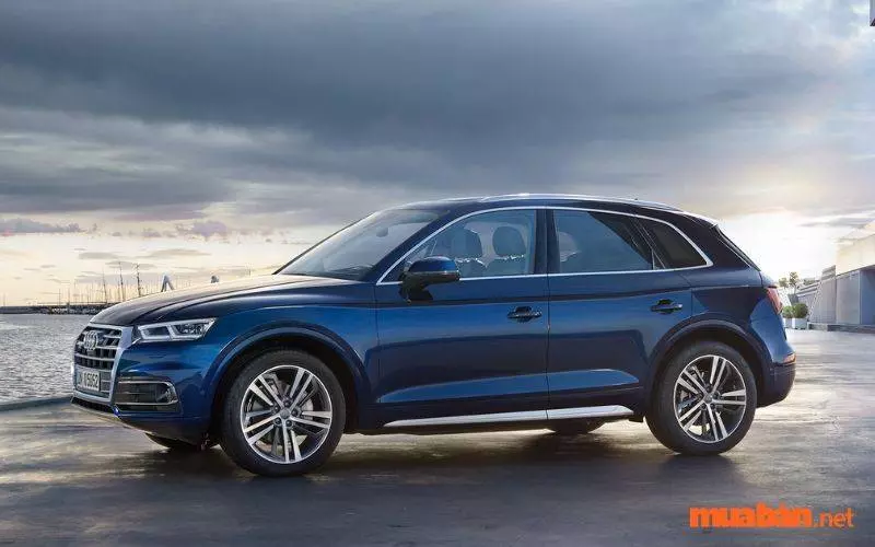 Audi Q5 cũ