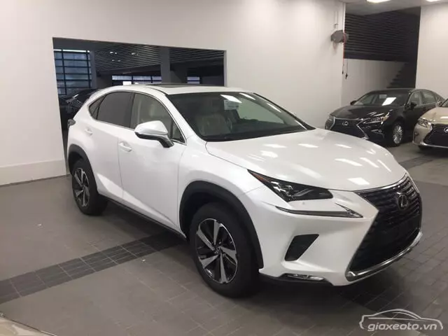 gia-xe-lexus-nx300-2018-2019