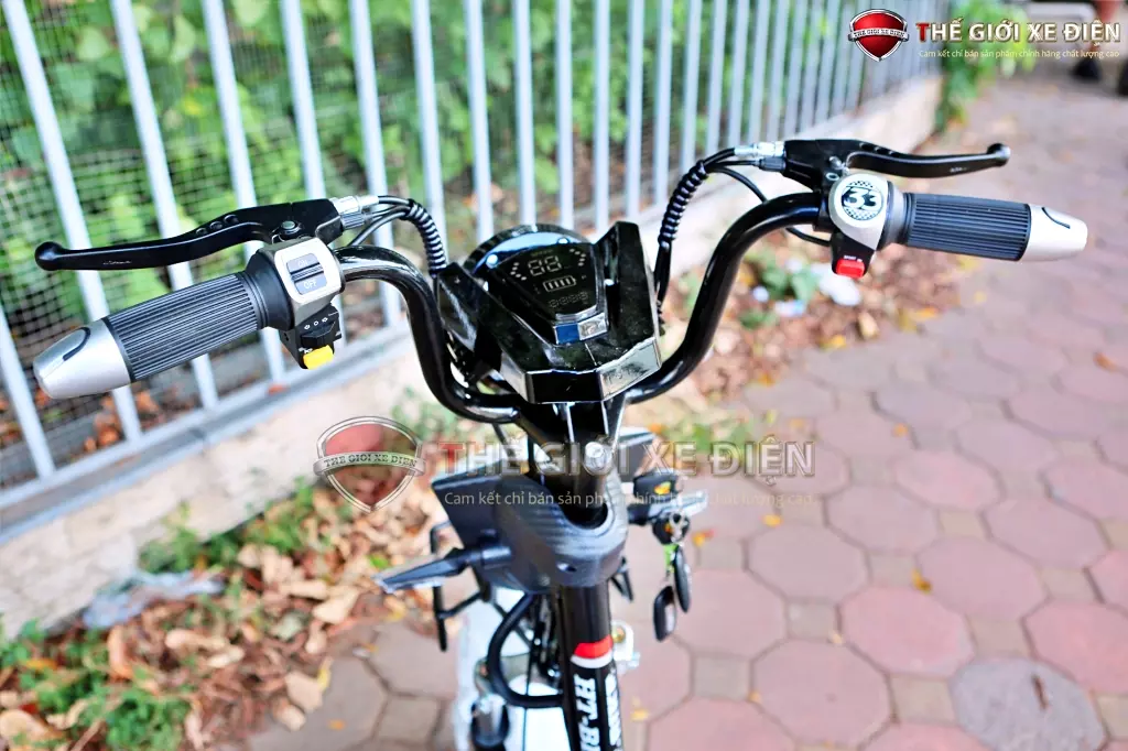 xe điện HTBike MaxPro