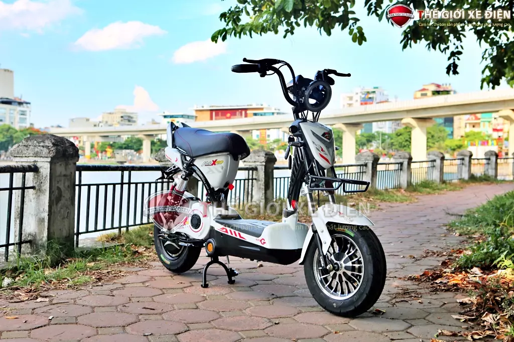 vành đúc 5 chấu xe điện HTBike MaxPro