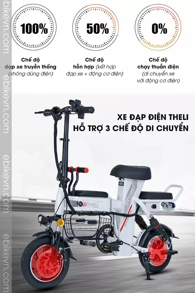 Xe Dap Dien Theli Cao Cap - Ebikevn.com (11)