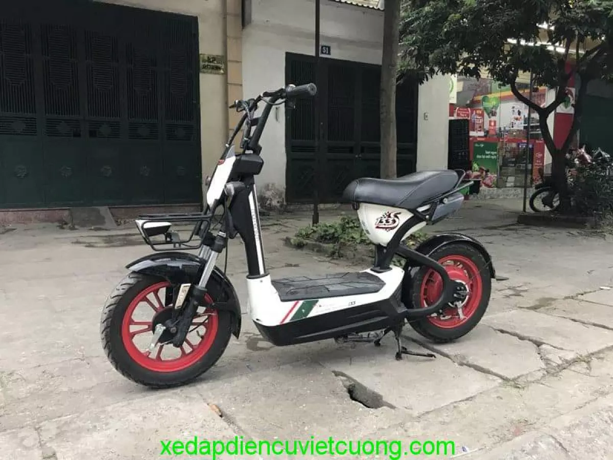 Xe Đạp Điện 133S Plus Nhập Khẩu giá rẻ