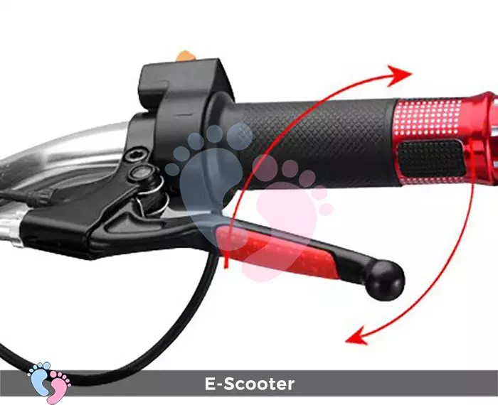 Xe điện mini E Scooter Bình ắc quy 24V 6