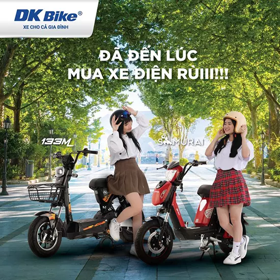 Xe đạp điện DK 133M