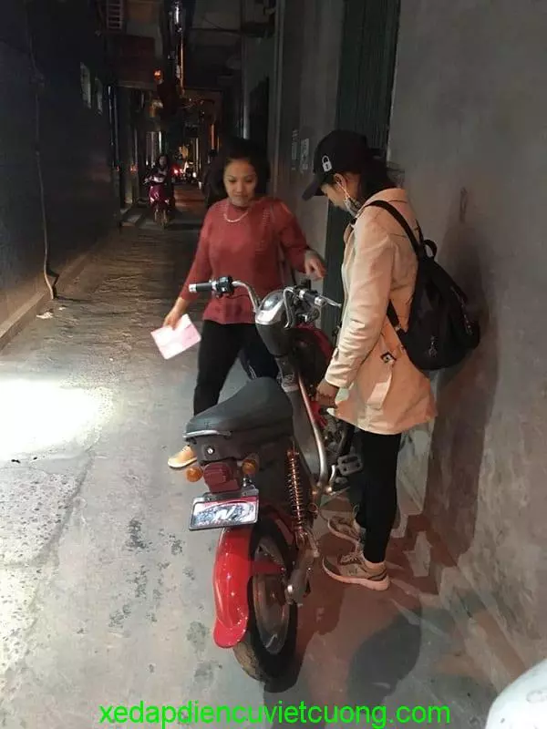 xe đạp điện cũ Việt Cường