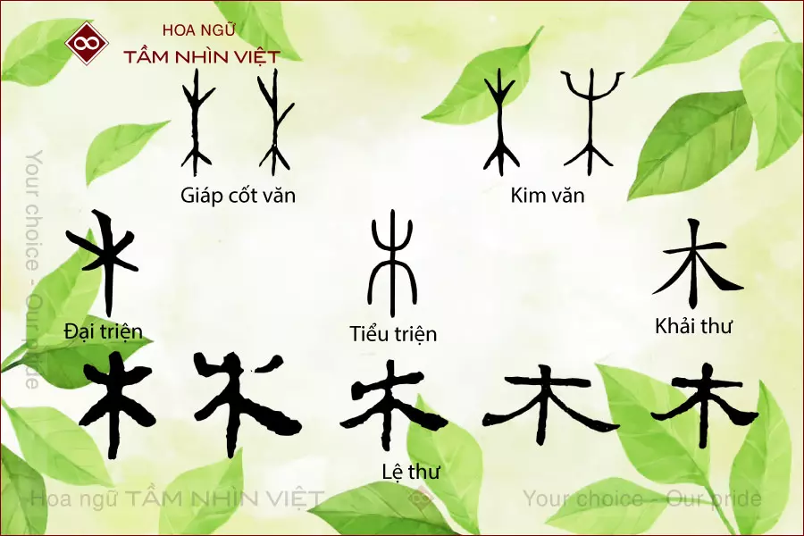 Tự hình đầy đủ của bộ Mộc tiếng Hán