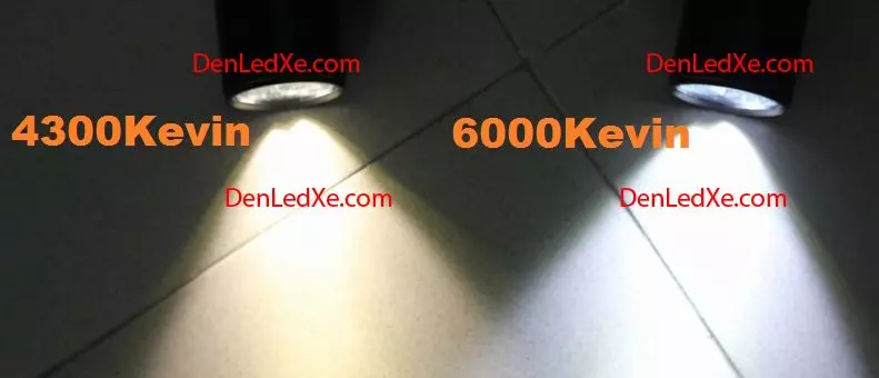 Đèn Led Xe Máy Cree L4 - Cree XML2 ( Chính Hãng - Uy Tín)