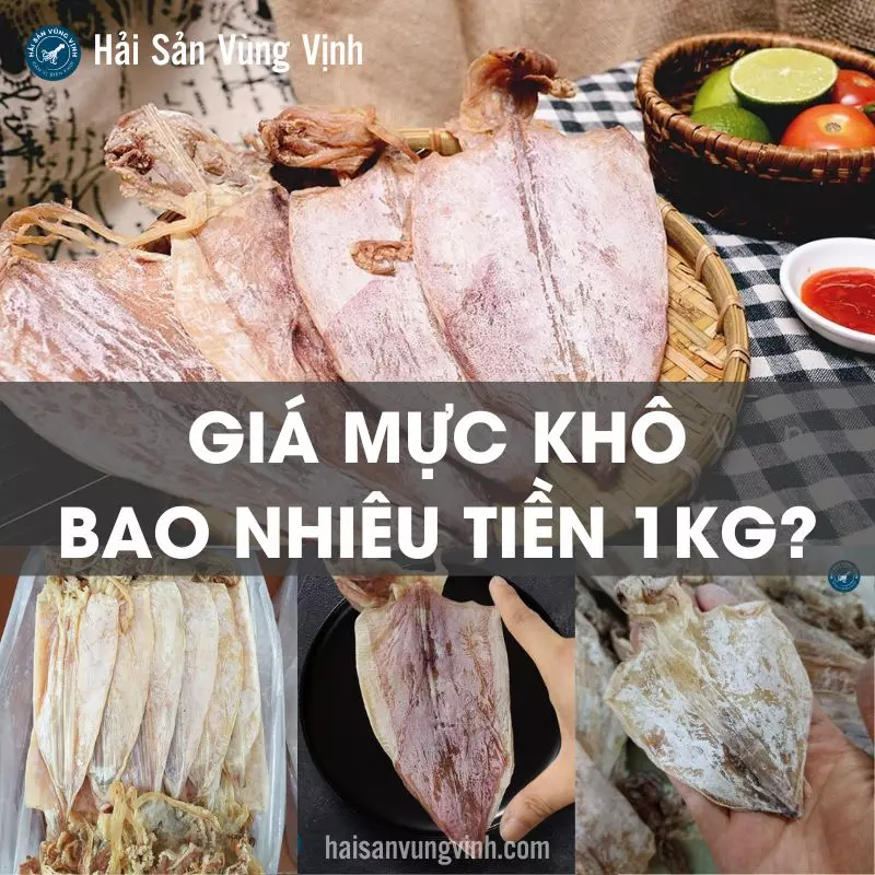 Túi đựng Mồi Câu Mực Giá Tốt T04/2024