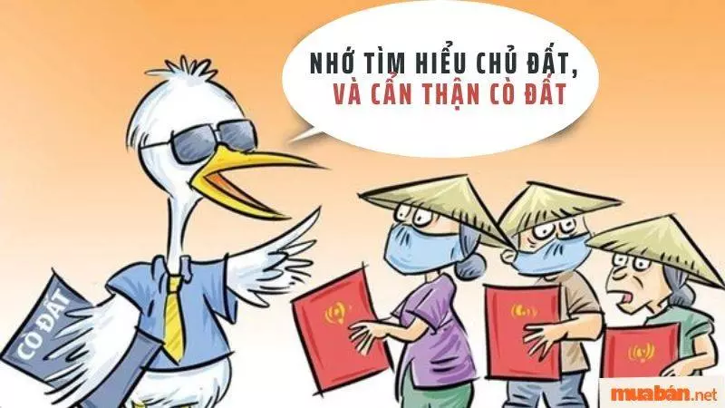 Thực trạng mua bán đất nhỏ giá rẻ