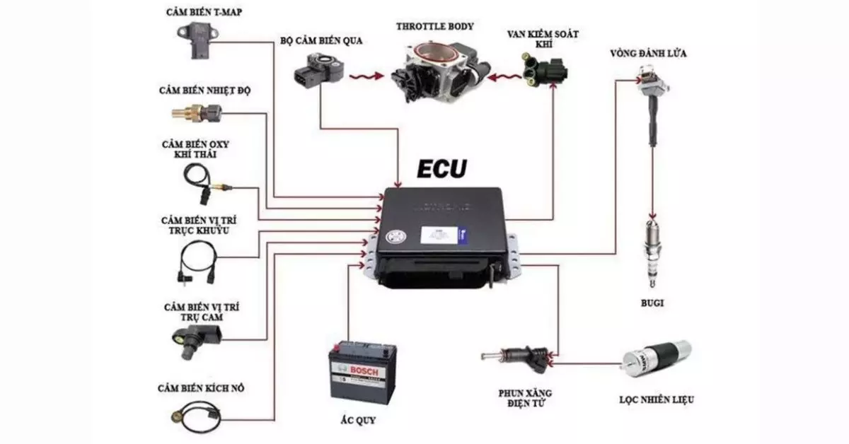 Bộ điều khiển xử lý ECU