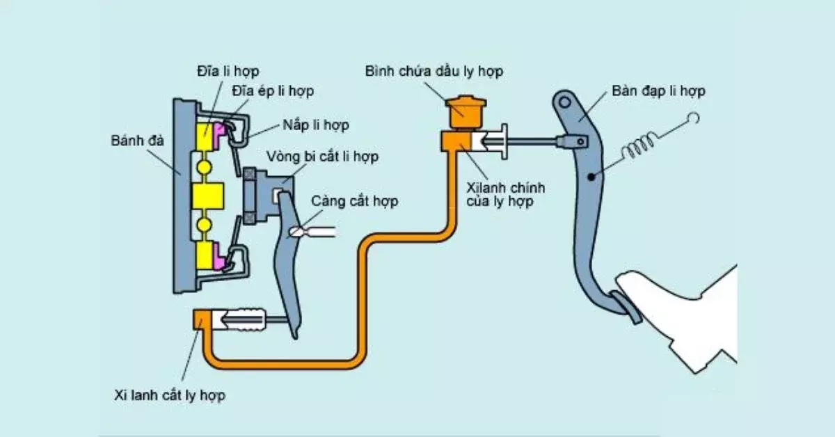 Dùng lực tác động lên bàn đạp ly hợp để dừng xe