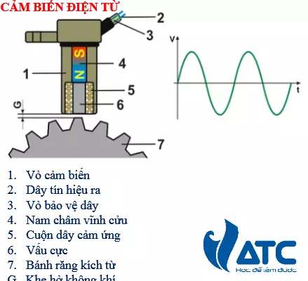 Cảm biến vị trí trục cam