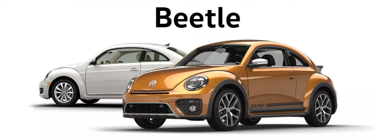 beetle-dune